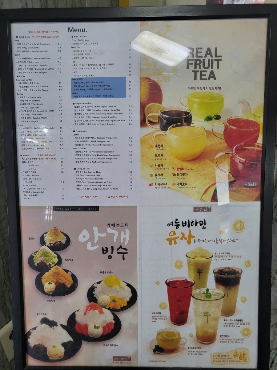네파남한 이미지