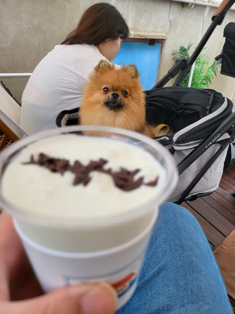 청호상회 이미지