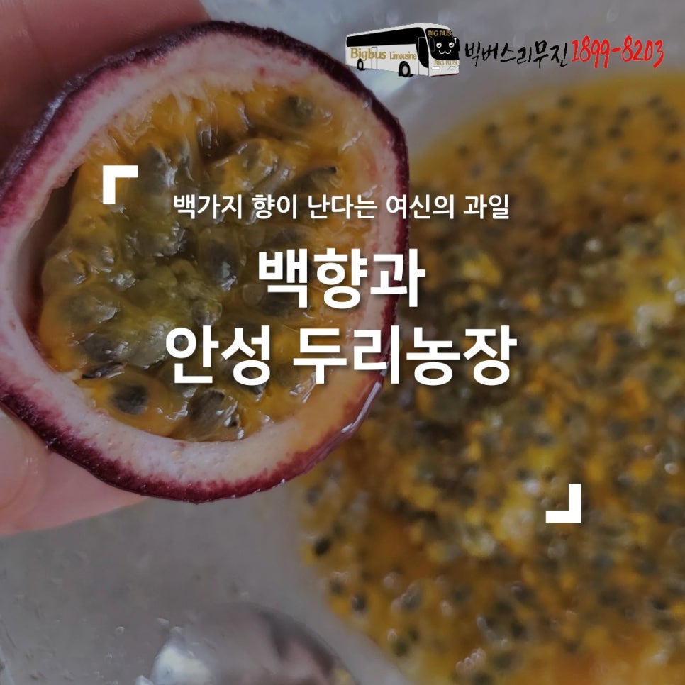 청두리 이미지