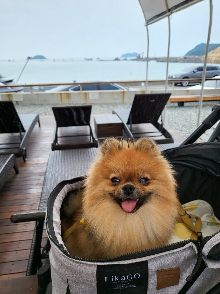 청호상회 이미지