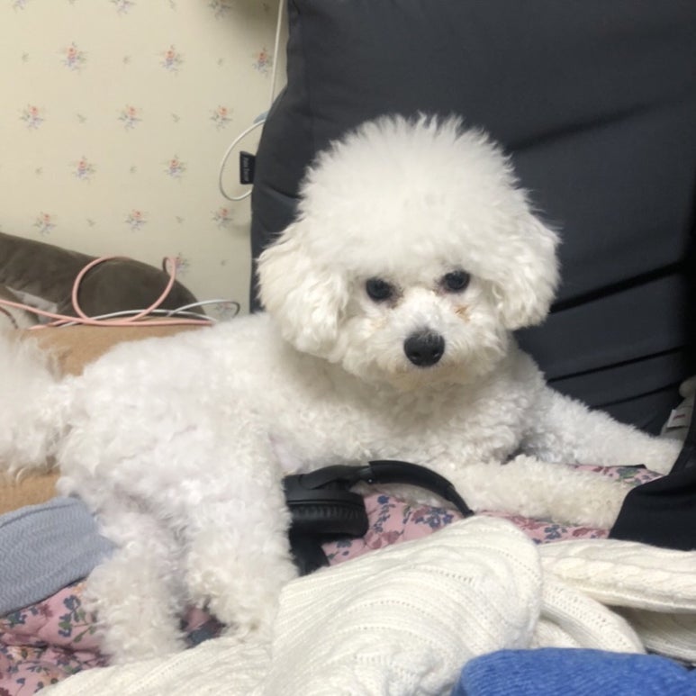 나스물류 이미지