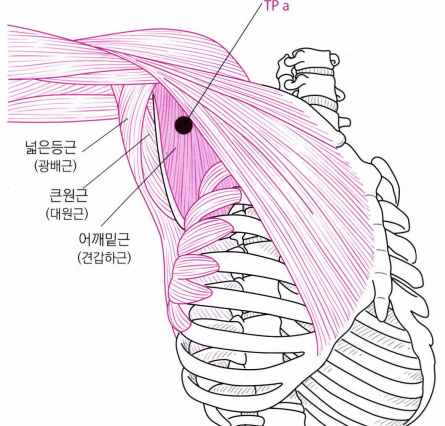 대실365한의원 이미지