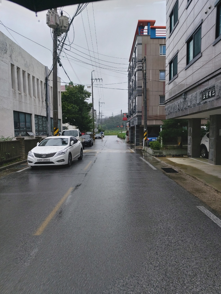 이오이오반점 이미지