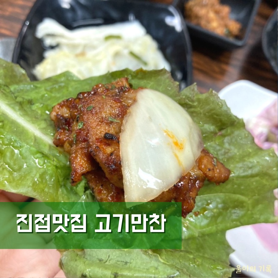 엄마의 고기 만찬 이미지