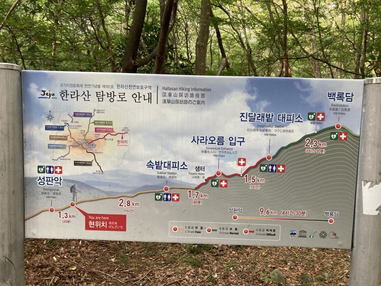 명도암정담김밥 이미지