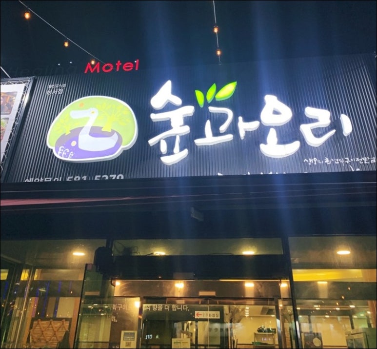 숲오리 이미지