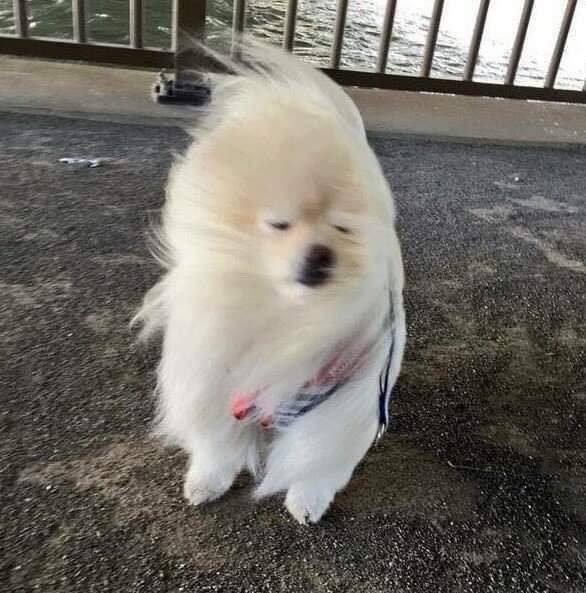 쉬어가기 이미지