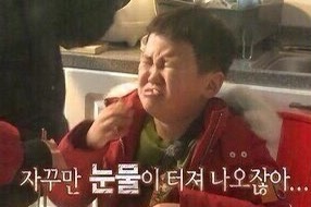 노리밋 이미지