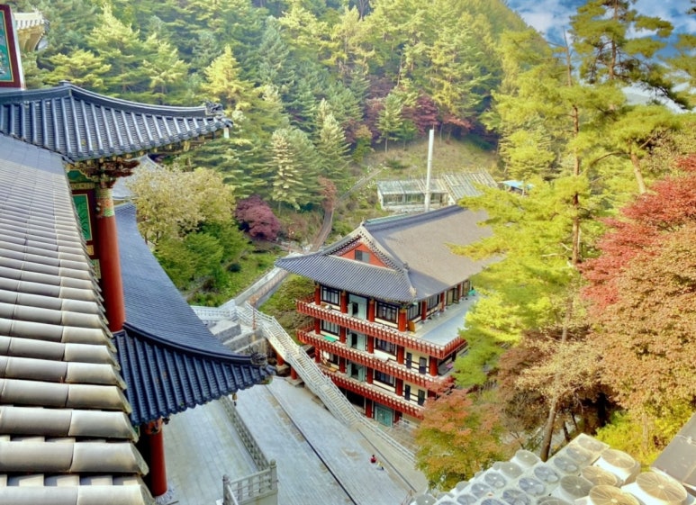 아로니아모텔 이미지