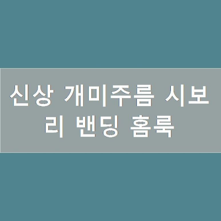 뉴앤트 이미지