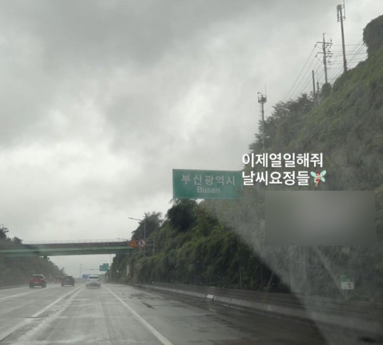 비라고마르 이미지