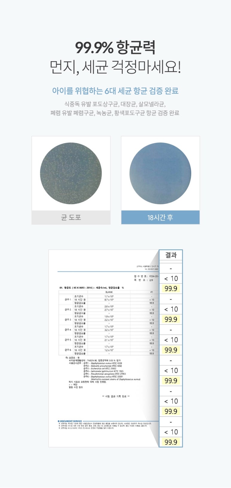 자이언트 클린 이미지