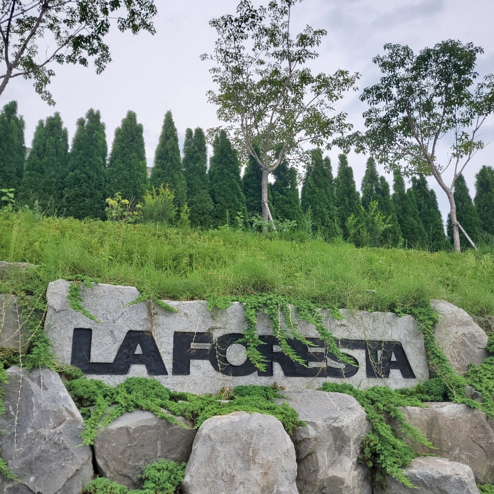 LAFORESTA(라포레스타) 이미지