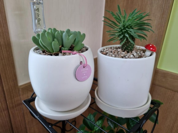 용한삼겹살집 이미지