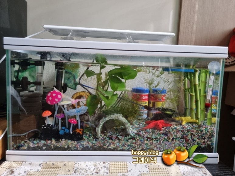 삼일네온 이미지