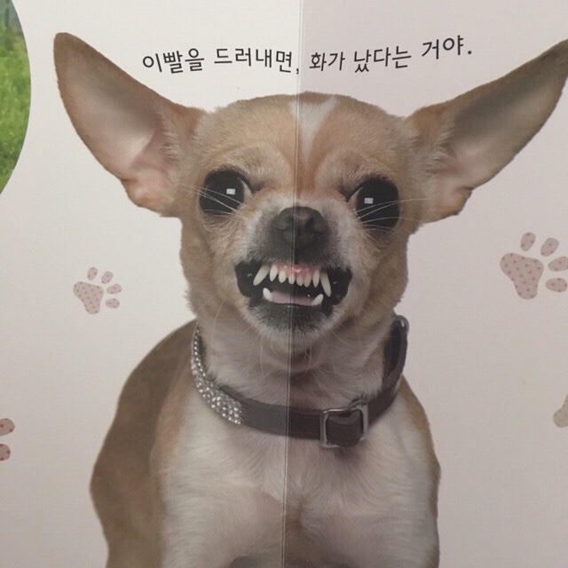 용궁카페 이미지