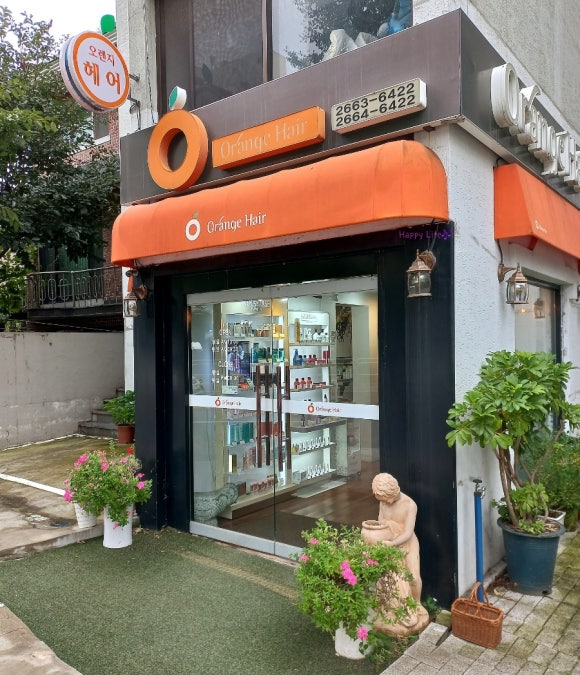 오렌지헤어 이미지