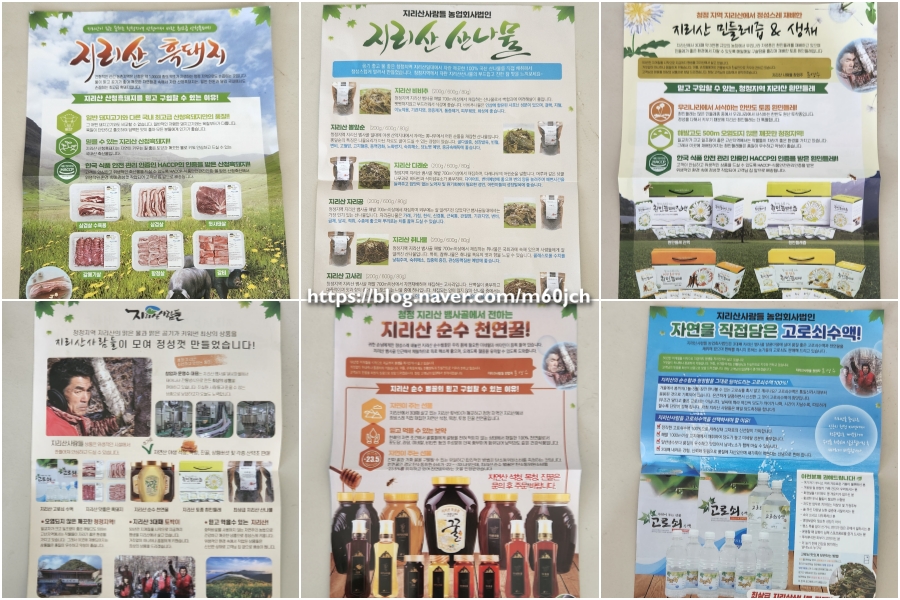지리산사람들(지리산민들레) 이미지