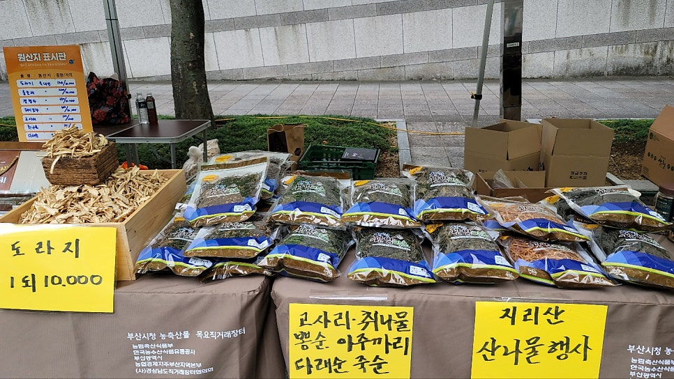 중년여성농업인경남지회 이미지