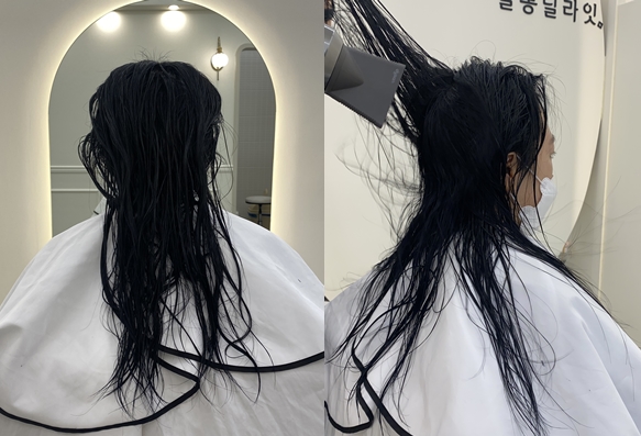 살롱딜라잇 이미지