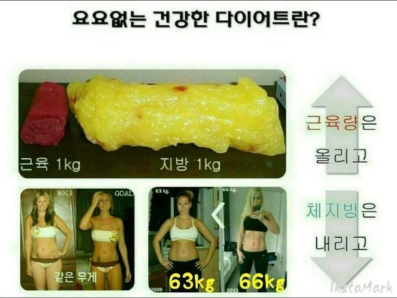 라라점핑 이미지