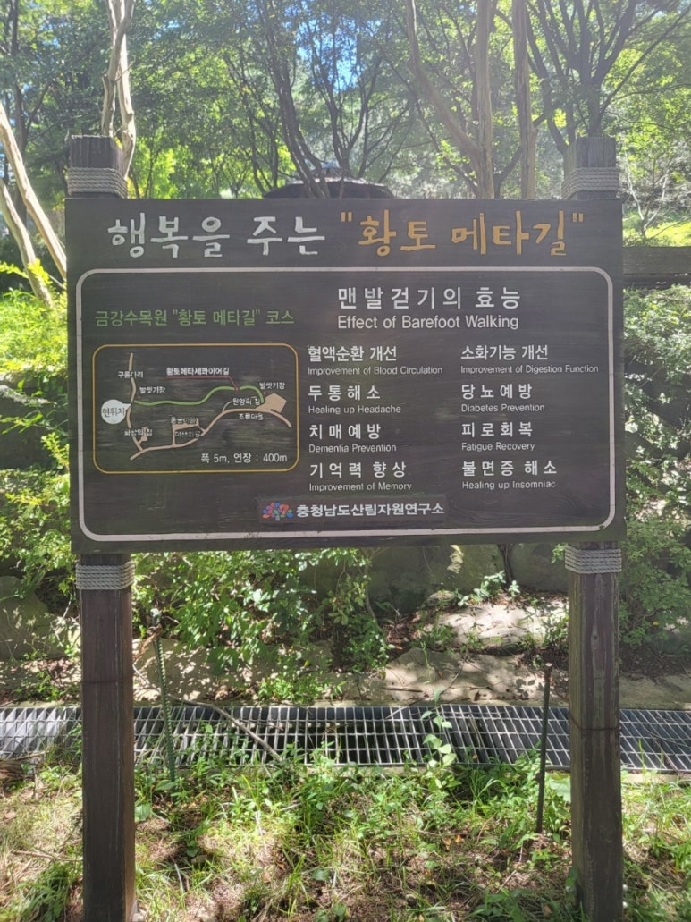 금강자연약초 이미지