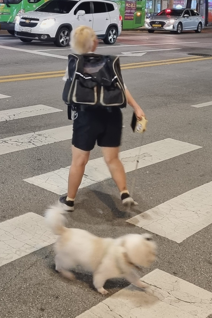 영진가방 이미지
