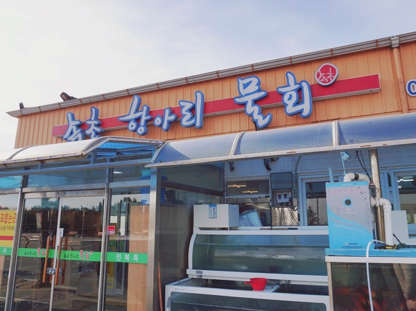 메리고라운드속초 이미지