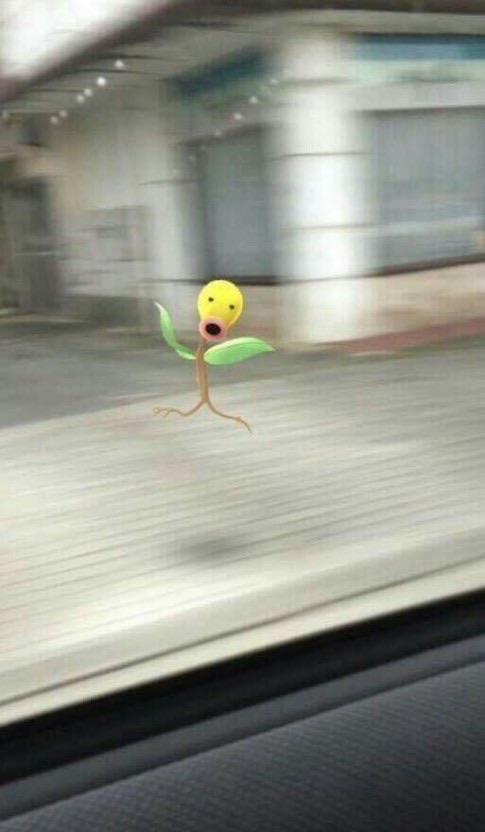 프란츠스토어 이미지