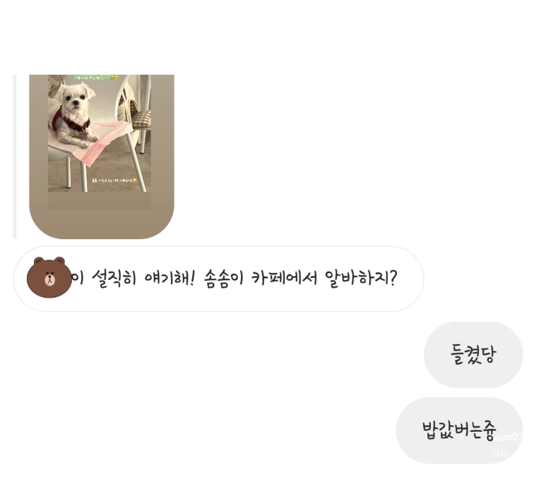 누을(Nueul) 이미지