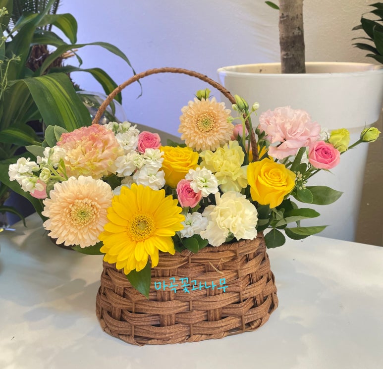 마곡꽃과나무 이미지