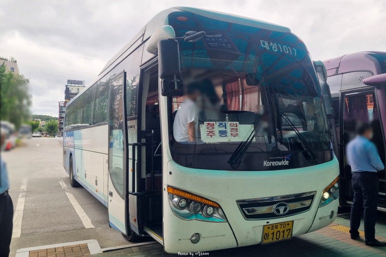 와이드대성 이미지