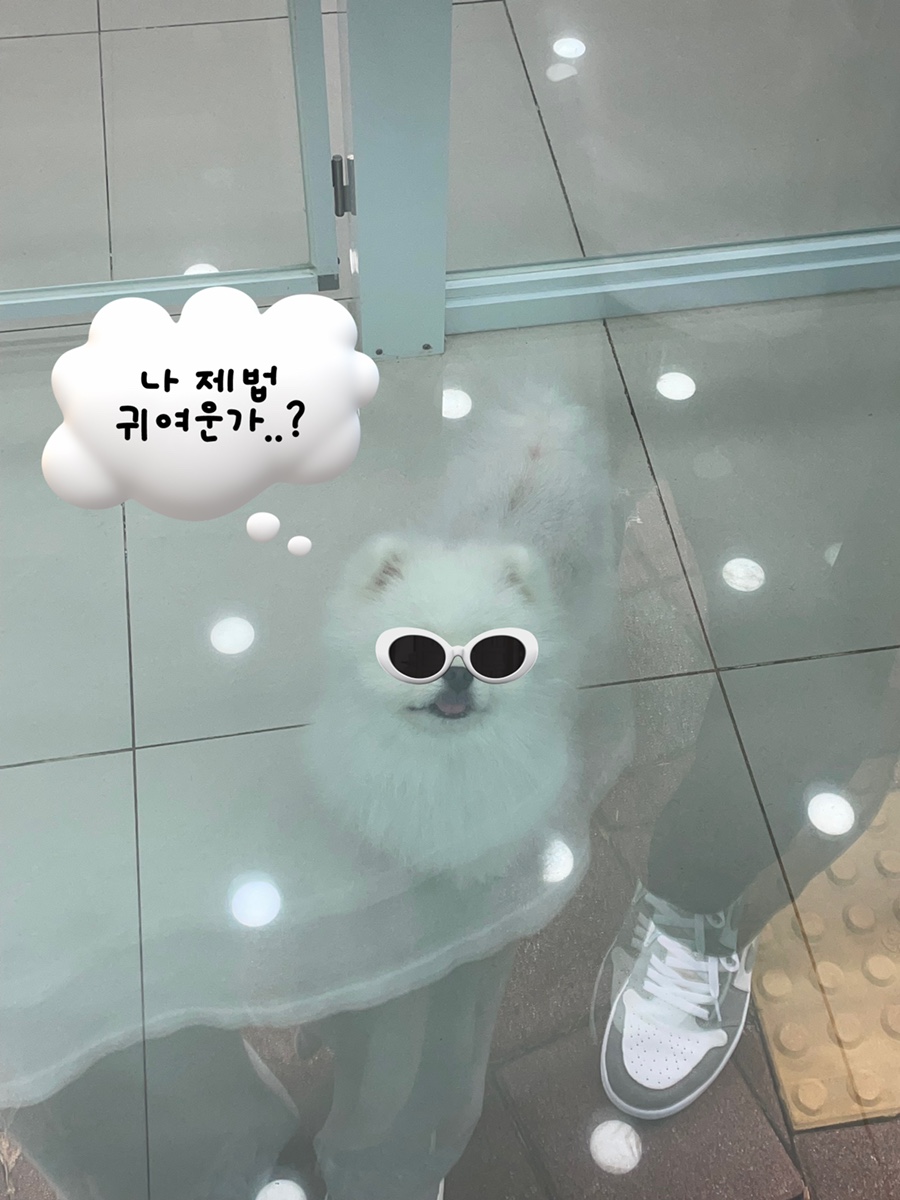 견상낙원 이미지