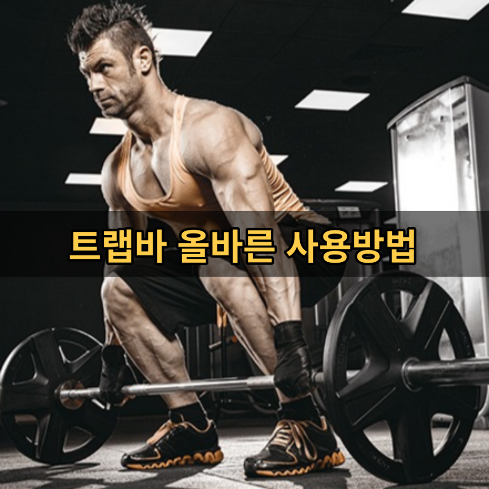업리프트서울 사진 2