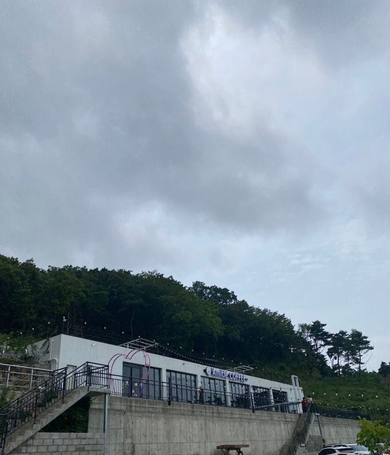 타미띠에 이미지