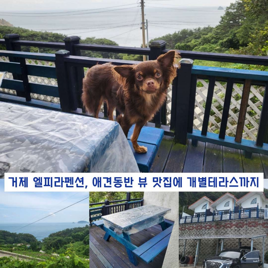 엘피라인 이미지