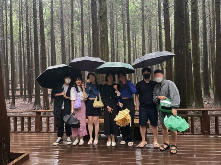 트래블 서치 이미지
