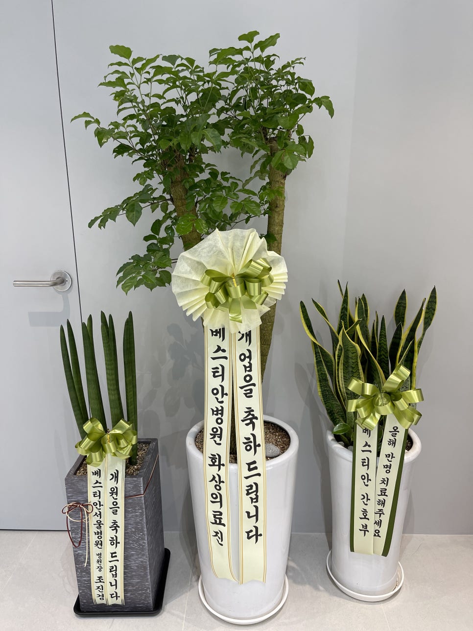 연세돋음의원 이미지