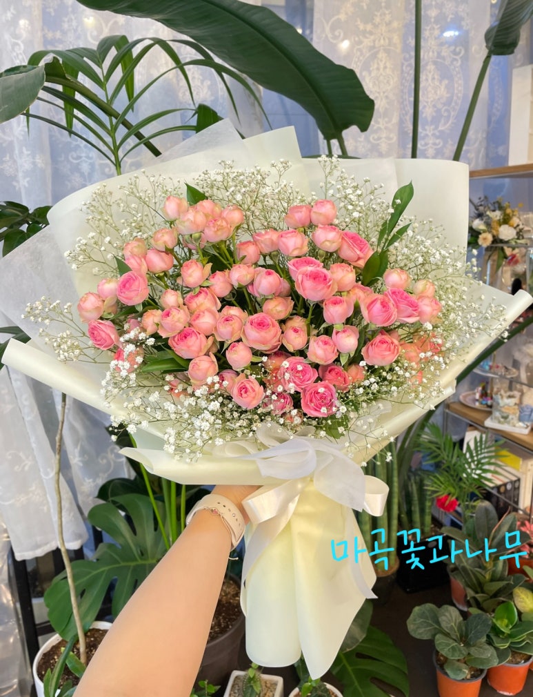 마곡꽃과나무 이미지