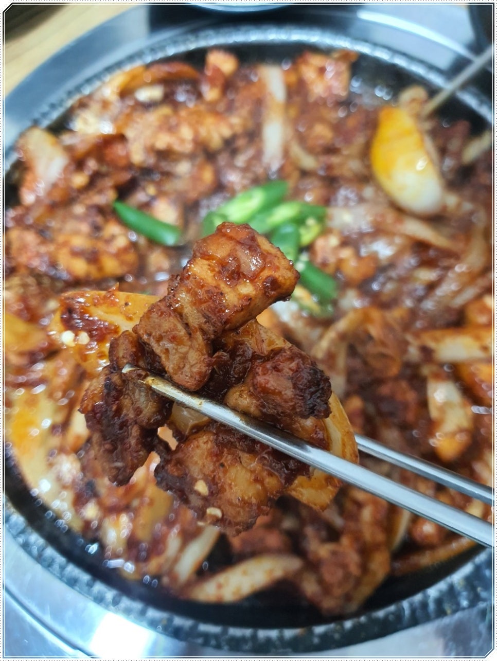 촌돼지 이미지