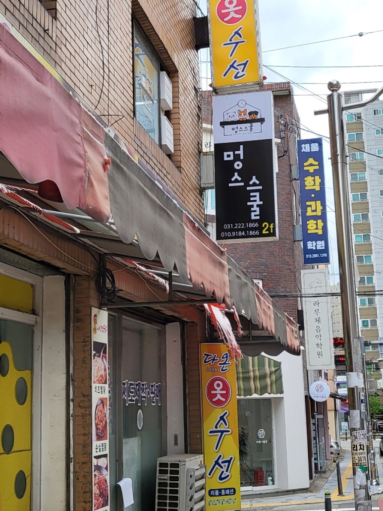 금성스쿨 이미지