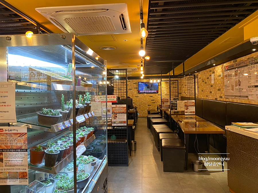 햄바라기 이미지