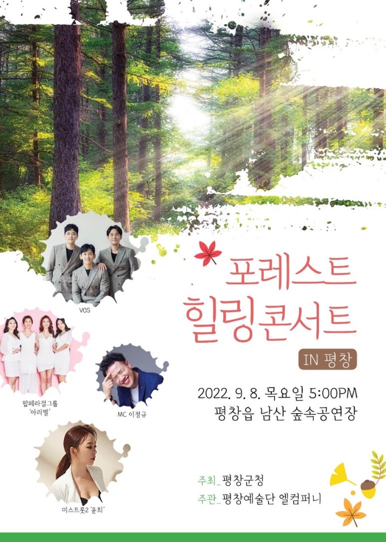 힐링포레스트 이미지