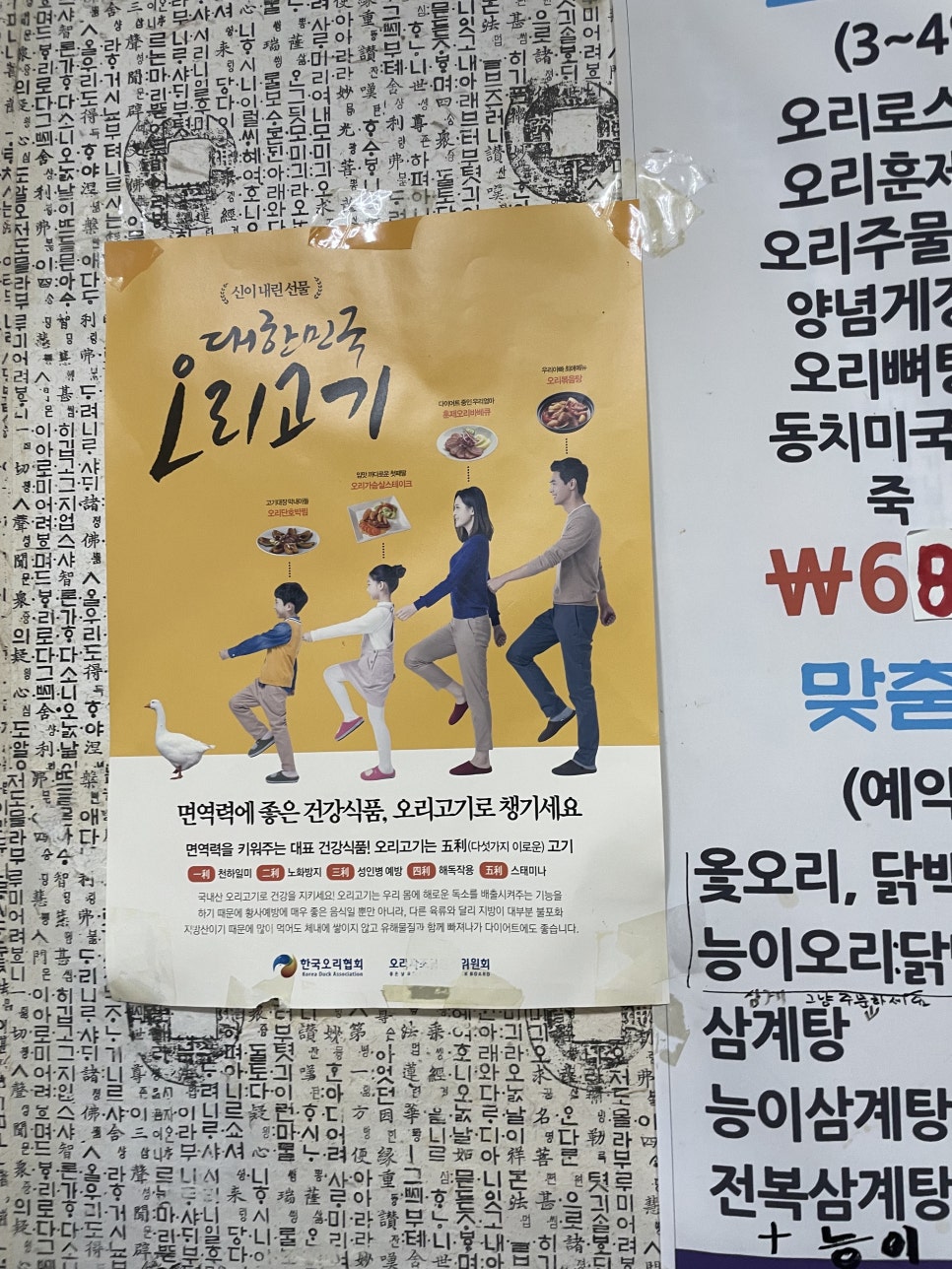 오리떼닭한마리 이미지