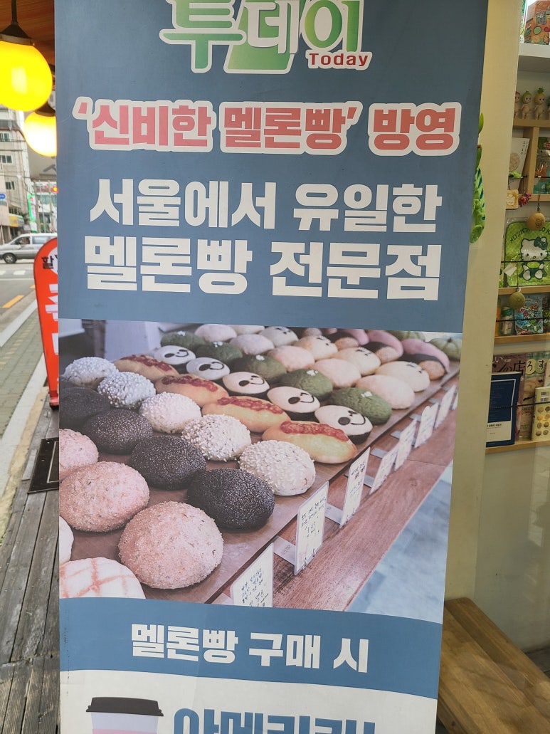 카멜리온 이미지