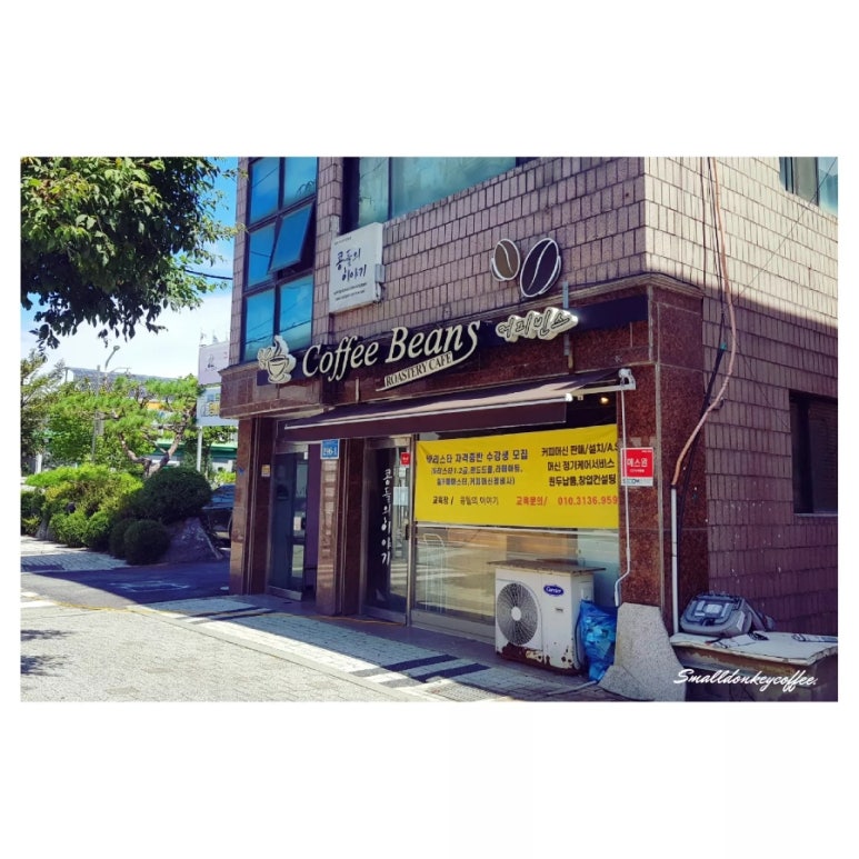 콩들의 이야기 이미지