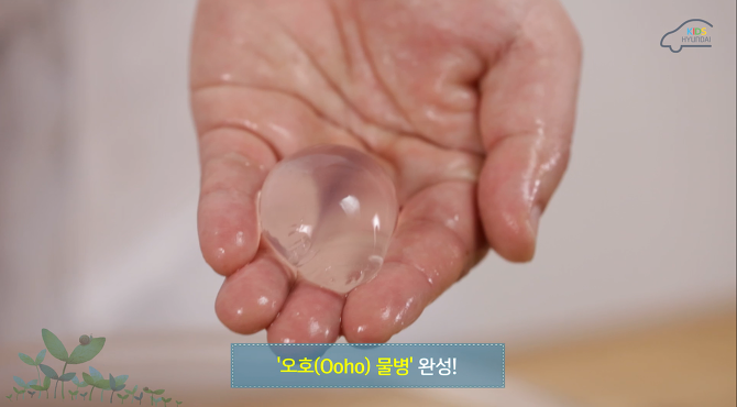 오호 이미지