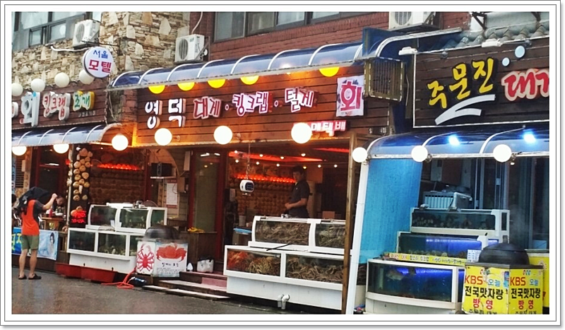 횟집경포대 이미지