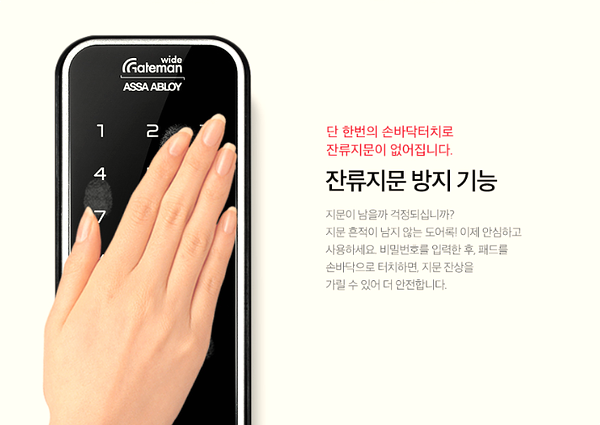 태람 이미지