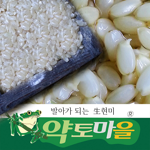 물조리자리 이미지